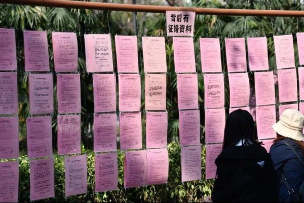 征婚女人，在爱与自由之间寻找归宿-方知甜