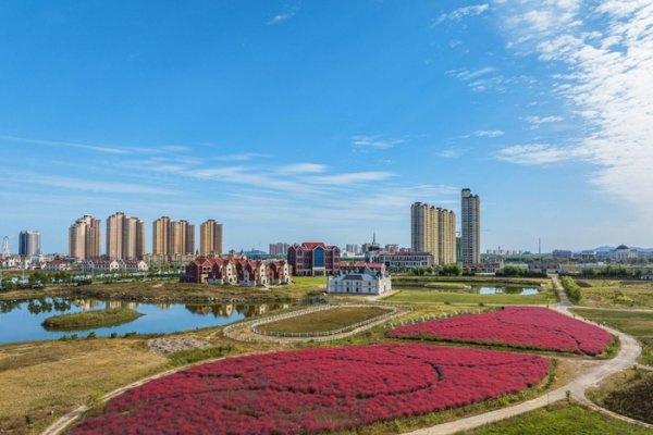 威海征婚，海滨之城的浪漫邂逅-方知甜