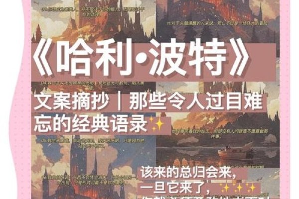 哇哈123，一场关于「认知的魔法」的邂逅-方知甜