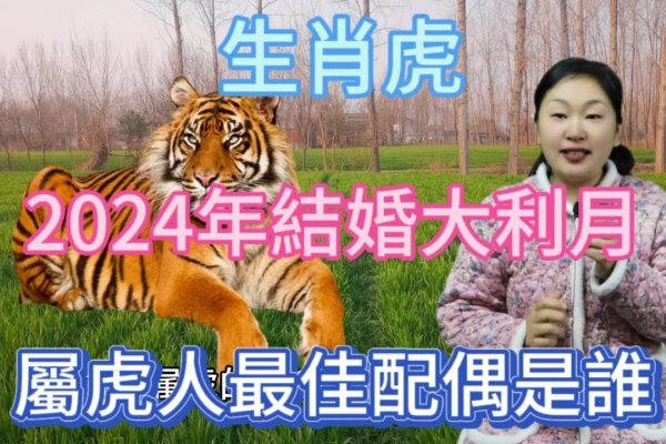 属虎男最佳配偶，温暖陪伴与事业突破的黄金配对-方知甜