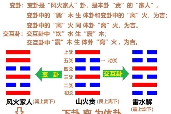 梅花易数预测股市，谨慎使用，结合多法更可靠；龙游梅盛开预告春来早-方知甜