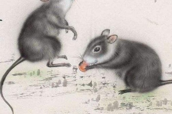 孤家寡人代表生肖，龙或鼠-方知甜