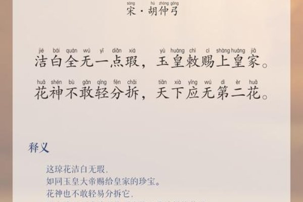 诗经中的琼华之美，纯洁高雅，如花绽放-方知甜