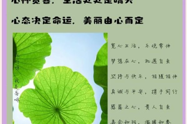 心宽，照亮心灵之路的真谛-方知甜