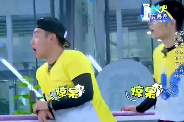 眉开眼笑猜生肖，揭秘背后的趣味与智慧-方知甜