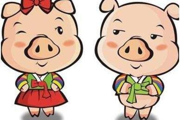 眉开眼笑打一生肖，猪属生肖解读-方知甜