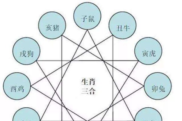 属龙的最佳婚配，探索生肖相性与幸福婚姻-方知甜