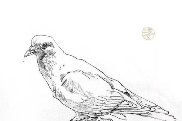 苍老师，笔下的星辰，照亮成长之途-方知甜