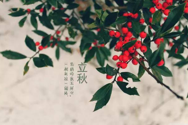 阴历10月初一，月上万花筒，暗藏岁岁重逢-方知甜