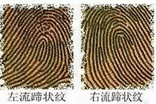 左流蹄状纹，沟壑间的生命轨迹-方知甜