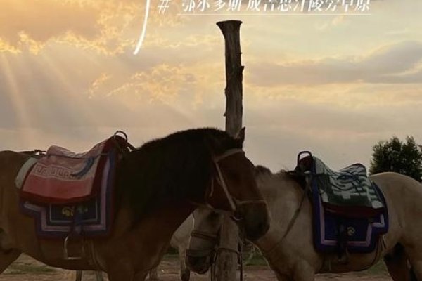 骑马回家，穿越时空的驿站，温暖生活的新起点-方知甜
