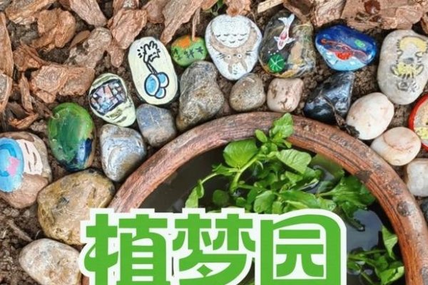 筑梦家园，探寻当代实际家园的独特价值-方知甜
