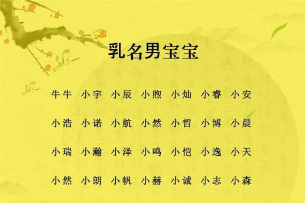 乳名测试，探索名字背后的情感纽带与个性特质-方知甜