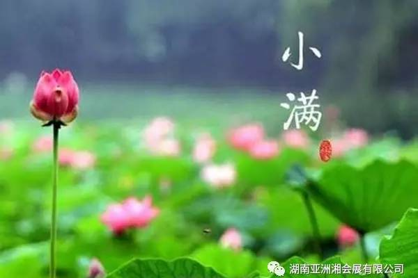 小满，生活中的微妙哲理与节气之美-方知甜