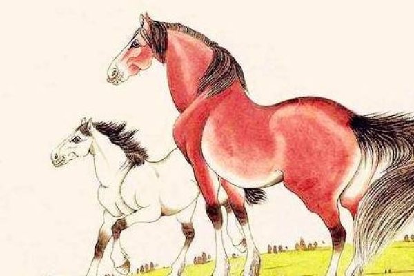 属马慎戴玉，五行相冲，运势受压-方知甜