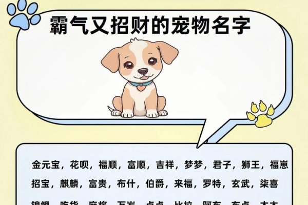 狗名字推荐，霸气活泼名称多如星河！-方知甜