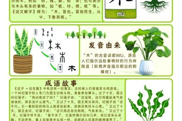 属木字引你发现宇宙的奇妙密码-方知甜