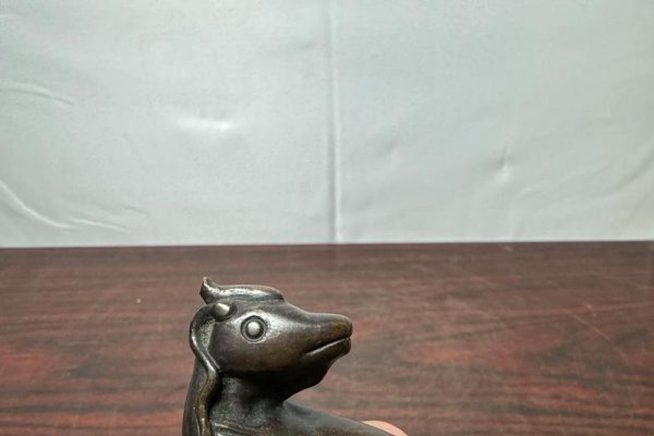 犀牛望月打一生肖-方知甜