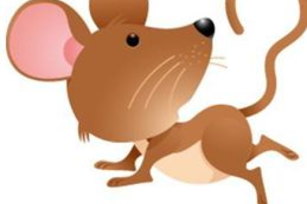 鼠年是哪几年？-方知甜