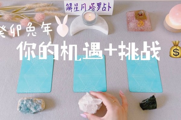 兔年与癸卯年，探寻生肖与干支的奇妙对应-方知甜