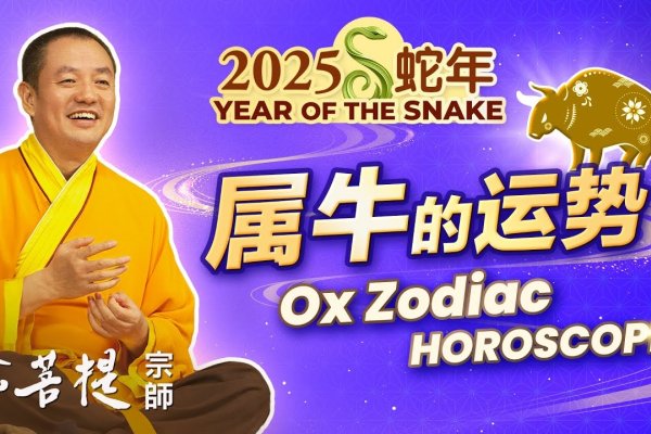 蛇年运势，渐入佳境，但需防财务挑战与人际摩擦-方知甜