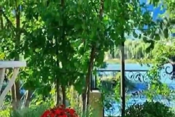 茌平交友，在历史与现代交织的土壤中绽放的友谊之花-方知甜