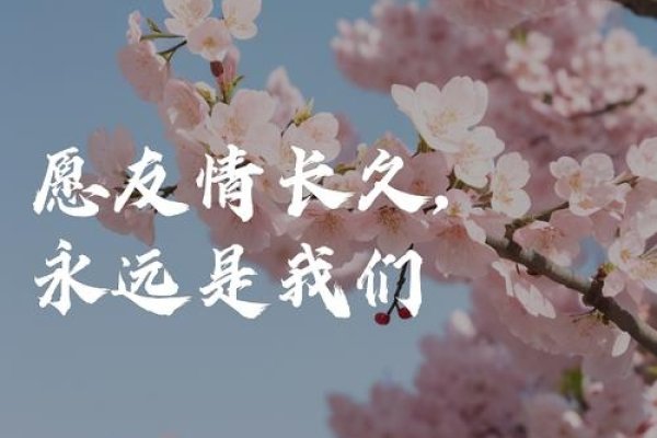 坤朋满座，共筑友谊桥梁的温馨时刻-方知甜