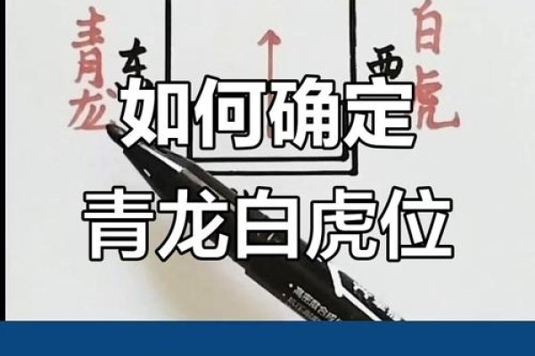 左青龙右白虎方位解释-方知甜