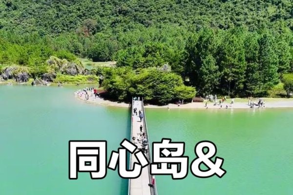 相亲论坛，连接心与缘的桥梁-方知甜