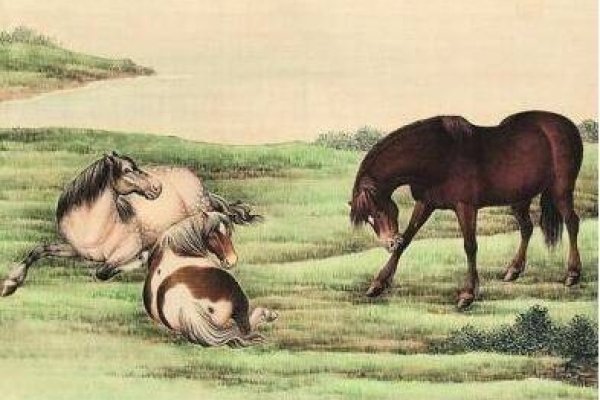 鞍前马后，生肖谜底揭晓，忠诚之马！-方知甜