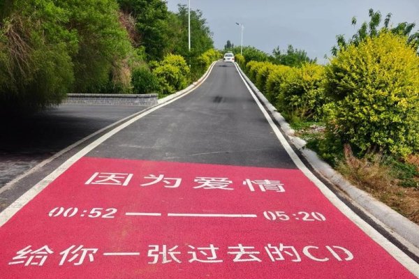 相亲网站，现代爱情的新航道-方知甜