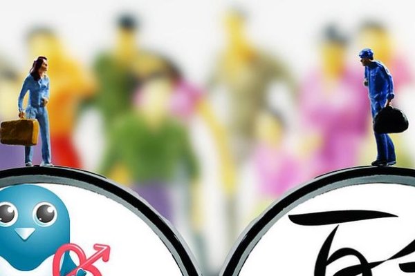 相亲网站，世纪佳缘与百合网，专业服务赢得信赖-方知甜