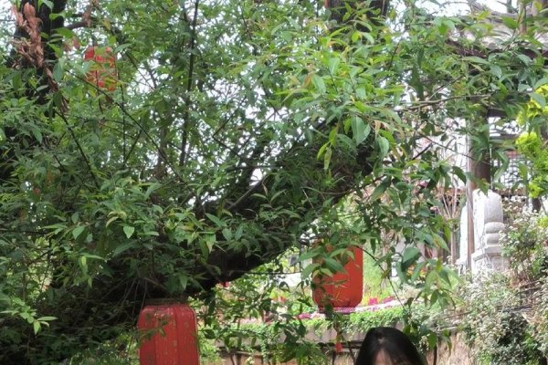 汪清征婚，在山水间寻觅心灵的归宿-方知甜