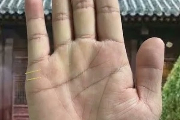 男人的手相，探寻命运密码与自我成长指引-方知甜