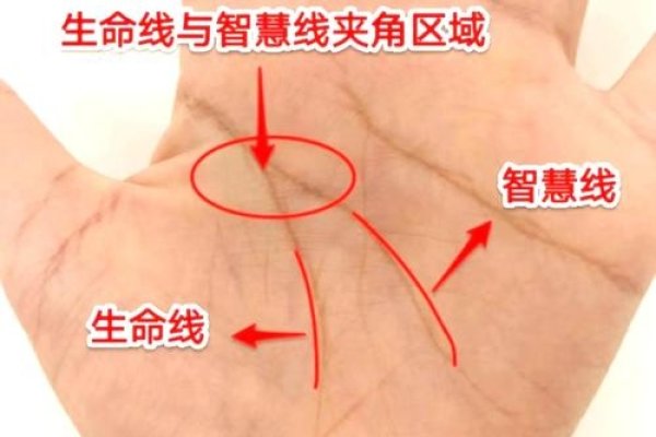 男人看手相，解读生命密码，探寻自我光芒-方知甜