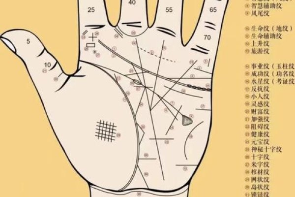 男人看手相图解,需兼顾财运与婚姻-方知甜