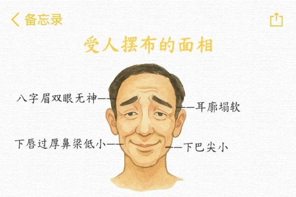 男人面相解析，洞悉命运，提升自我-方知甜