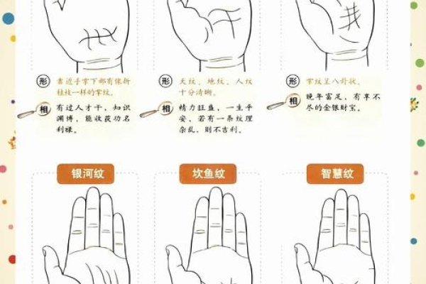 男人手相，揭示命运与性格的密码-方知甜