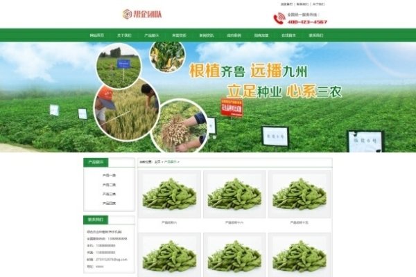 绿色代码，编程界的环保革命-方知甜