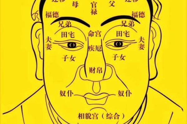 相术大全，探索面相学中的智慧与奥秘-方知甜