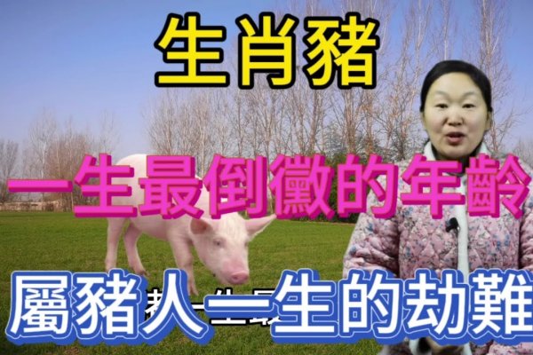 束手无策的生肖之谜，为何是猪？-方知甜