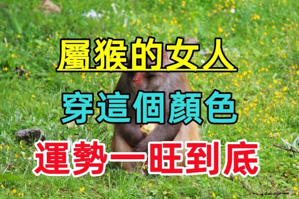 猴生肖女性心思缜密、聪明多情-方知甜