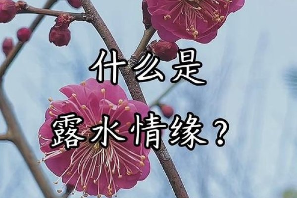 露水姻缘，短暂而美丽的邂逅-方知甜