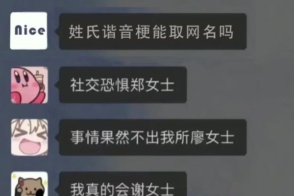 姓氏谐音梗网名，玩转姓氏，打造独特个性标签-方知甜
