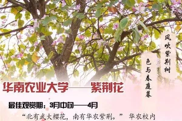 闰四月初八，时光邂逅时光诗韵-方知甜