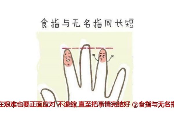 小手指短，命运暗示与性格特征解析-方知甜
