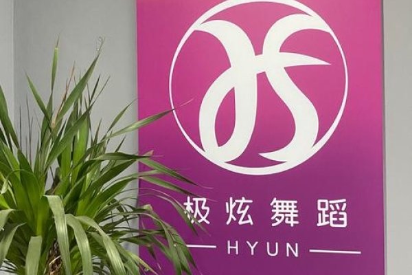 舞团名称，星辰舞韵——探索舞蹈艺术的无限可能-方知甜