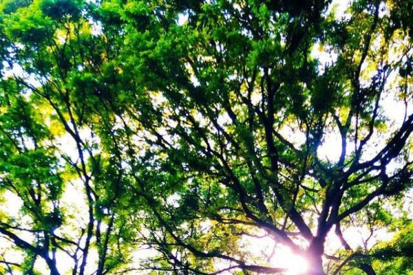 繁体字典，连接古今，传承汉字之美-方知甜