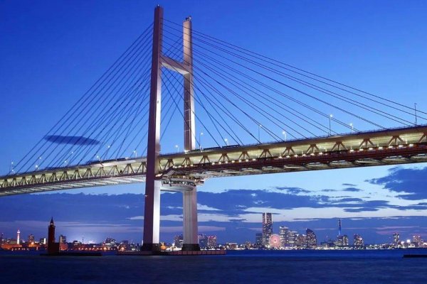 涉外婚介，跨越国界的爱情桥梁-方知甜