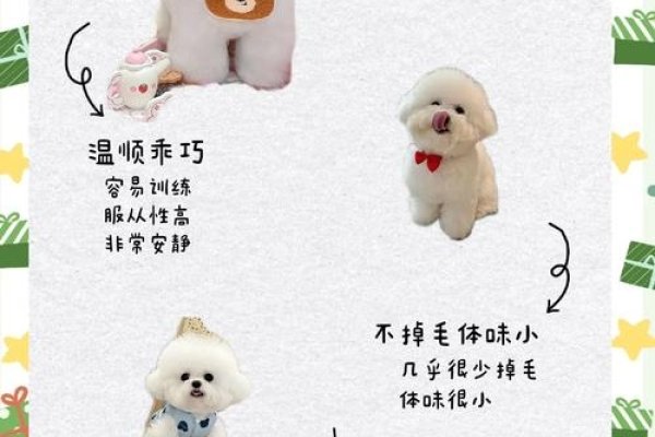 宠物名推荐，萌趣圆圆、毛球米菲等，可满足狗狗个性-方知甜